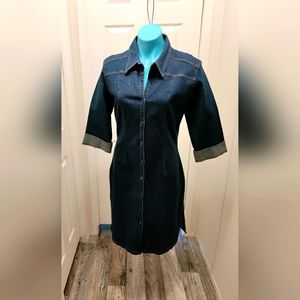 Blue Jean Dress by Spiegel Life. Size 12